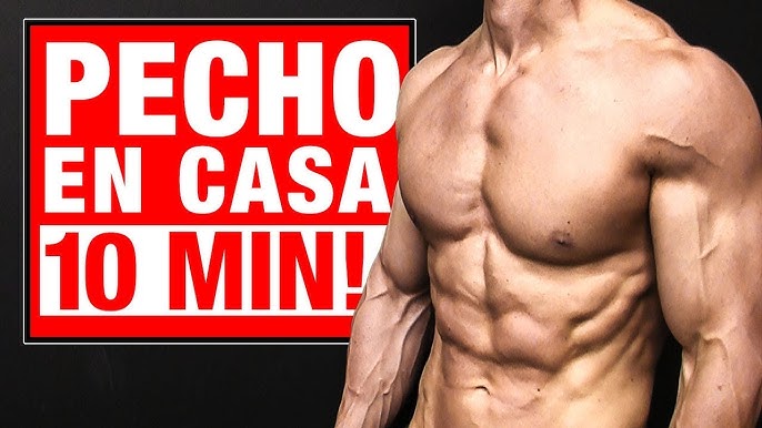 Guía Definitiva: Fortalece tu Core y Consigue la Definición Abdominal a Largo Plazo